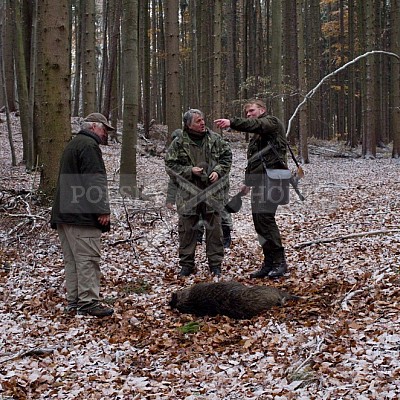 Naháňka Lípa u Zlína 12.11.2016 - podrobná foto prohlídka 