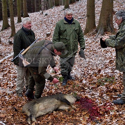 Naháňka Lípa u Zlína 12.11.2016 - podrobná foto prohlídka 