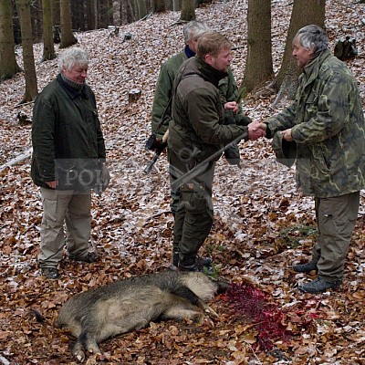 Naháňka Lípa u Zlína 12.11.2016 - podrobná foto prohlídka 