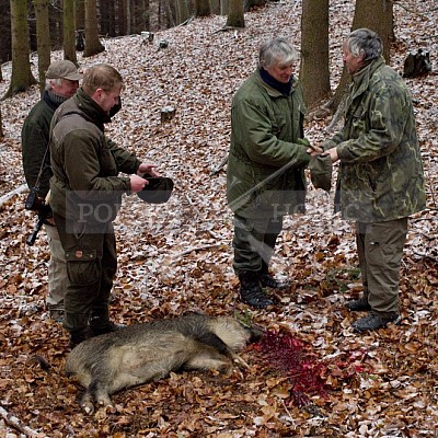 Naháňka Lípa u Zlína 12.11.2016 - podrobná foto prohlídka 