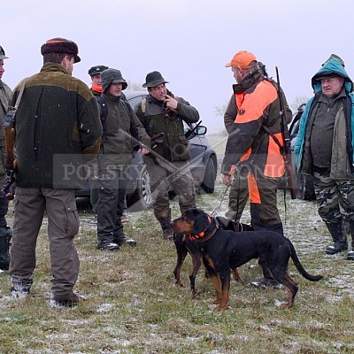 Naháňka Lípa u Zlína 12.11.2016 - podrobná foto prohlídka 