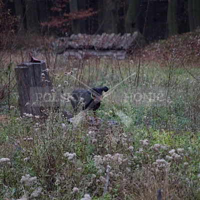 Naháňka Lípa u Zlína 12.11.2016 - podrobná foto prohlídka 