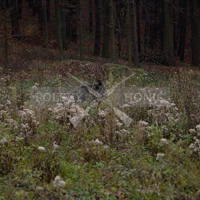 Naháňka Lípa u Zlína 12.11.2016 - podrobná foto prohlídka 