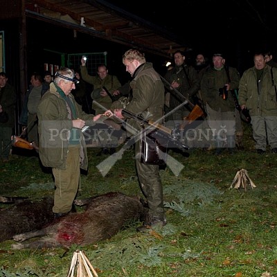 Naháňka Lípa u Zlína 12.11.2016 - podrobná foto prohlídka 