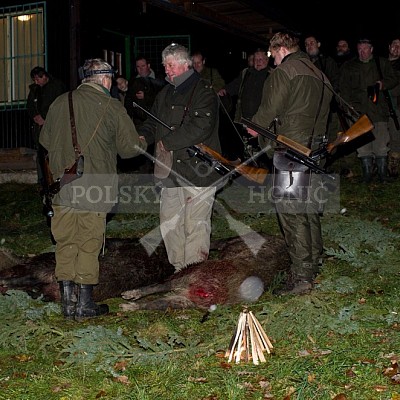 Naháňka Lípa u Zlína 12.11.2016 - podrobná foto prohlídka 