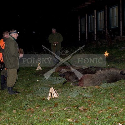 Naháňka Lípa u Zlína 12.11.2016 - podrobná foto prohlídka 