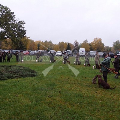 21 ročník celostátní soutěže barvářů pořádanou ČMKCHB - O PUTOVNÍ CENU - honitba Libavá, 19-22.10.2016