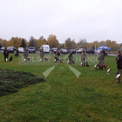 21 ročník celostátní soutěže barvářů pořádanou ČMKCHB - O PUTOVNÍ CENU - honitba Libavá, 19-22.10.2016