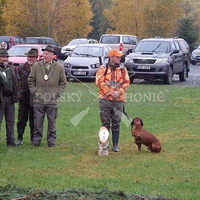 21 ročník celostátní soutěže barvářů pořádanou ČMKCHB - O PUTOVNÍ CENU - honitba Libavá, 19-22.10.2016