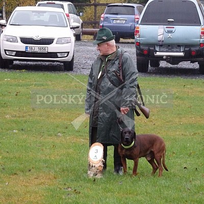 21 ročník celostátní soutěže barvářů pořádanou ČMKCHB - O PUTOVNÍ CENU - honitba Libavá, 19-22.10.2016