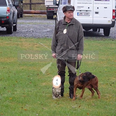 21 ročník celostátní soutěže barvářů pořádanou ČMKCHB - O PUTOVNÍ CENU - honitba Libavá, 19-22.10.2016