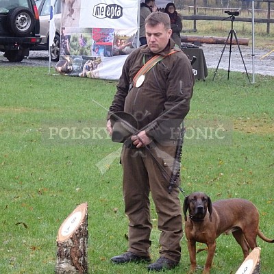 21 ročník celostátní soutěže barvářů pořádanou ČMKCHB - O PUTOVNÍ CENU - honitba Libavá, 19-22.10.2016