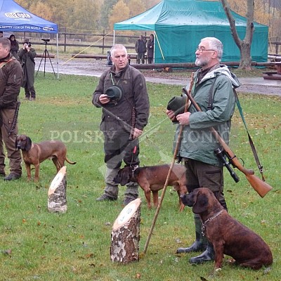 21 ročník celostátní soutěže barvářů pořádanou ČMKCHB - O PUTOVNÍ CENU - honitba Libavá, 19-22.10.2016