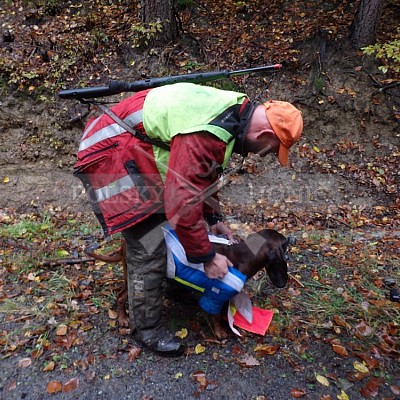 21 ročník celostátní soutěže barvářů pořádanou ČMKCHB - O PUTOVNÍ CENU - honitba Libavá, 19-22.10.2016