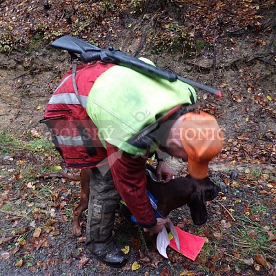 21 ročník celostátní soutěže barvářů pořádanou ČMKCHB - O PUTOVNÍ CENU - honitba Libavá, 19-22.10.2016