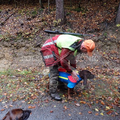 21 ročník celostátní soutěže barvářů pořádanou ČMKCHB - O PUTOVNÍ CENU - honitba Libavá, 19-22.10.2016