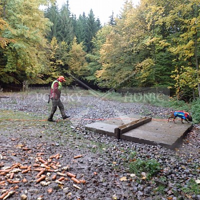 21 ročník celostátní soutěže barvářů pořádanou ČMKCHB - O PUTOVNÍ CENU - honitba Libavá, 19-22.10.2016