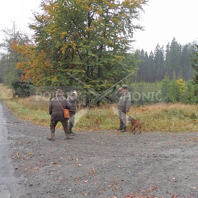 21 ročník celostátní soutěže barvářů pořádanou ČMKCHB - O PUTOVNÍ CENU - honitba Libavá, 19-22.10.2016