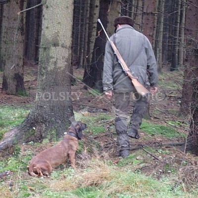 21 ročník celostátní soutěže barvářů pořádanou ČMKCHB - O PUTOVNÍ CENU - honitba Libavá, 19-22.10.2016