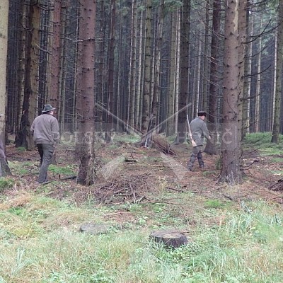 21 ročník celostátní soutěže barvářů pořádanou ČMKCHB - O PUTOVNÍ CENU - honitba Libavá, 19-22.10.2016