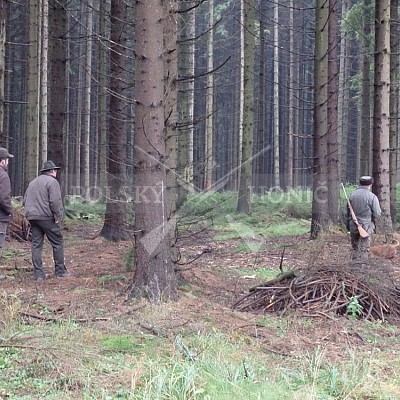 21 ročník celostátní soutěže barvářů pořádanou ČMKCHB - O PUTOVNÍ CENU - honitba Libavá, 19-22.10.2016