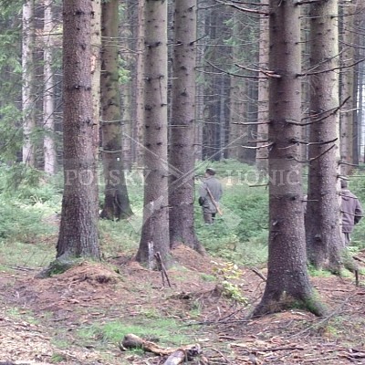 21 ročník celostátní soutěže barvářů pořádanou ČMKCHB - O PUTOVNÍ CENU - honitba Libavá, 19-22.10.2016