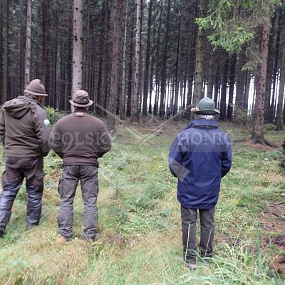 21 ročník celostátní soutěže barvářů pořádanou ČMKCHB - O PUTOVNÍ CENU - honitba Libavá, 19-22.10.2016