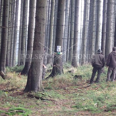 21 ročník celostátní soutěže barvářů pořádanou ČMKCHB - O PUTOVNÍ CENU - honitba Libavá, 19-22.10.2016