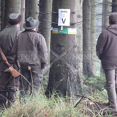 21 ročník celostátní soutěže barvářů pořádanou ČMKCHB - O PUTOVNÍ CENU - honitba Libavá, 19-22.10.2016