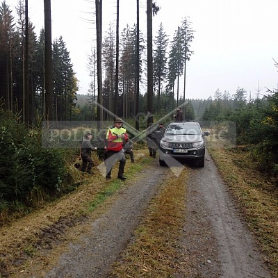 21 ročník celostátní soutěže barvářů pořádanou ČMKCHB - O PUTOVNÍ CENU - honitba Libavá, 19-22.10.2016