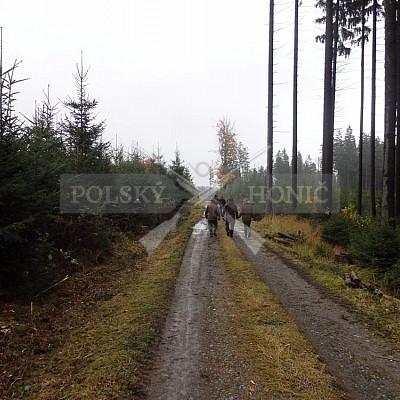 21 ročník celostátní soutěže barvářů pořádanou ČMKCHB - O PUTOVNÍ CENU - honitba Libavá, 19-22.10.2016