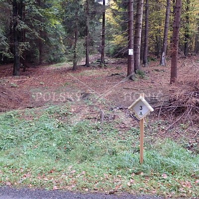 21 ročník celostátní soutěže barvářů pořádanou ČMKCHB - O PUTOVNÍ CENU - honitba Libavá, 19-22.10.2016