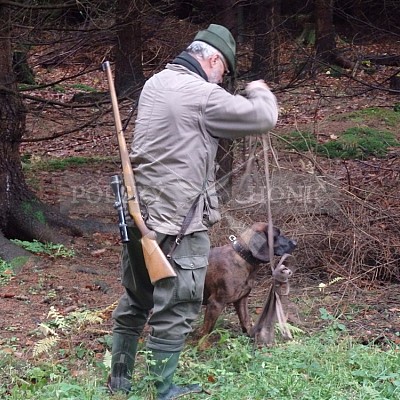 21 ročník celostátní soutěže barvářů pořádanou ČMKCHB - O PUTOVNÍ CENU - honitba Libavá, 19-22.10.2016