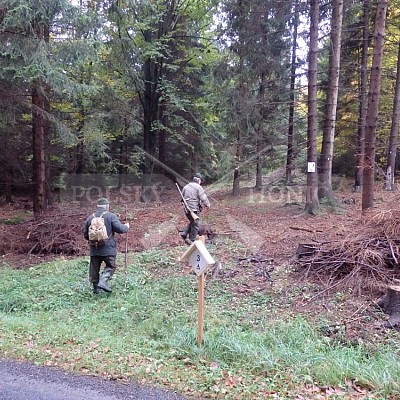 21 ročník celostátní soutěže barvářů pořádanou ČMKCHB - O PUTOVNÍ CENU - honitba Libavá, 19-22.10.2016