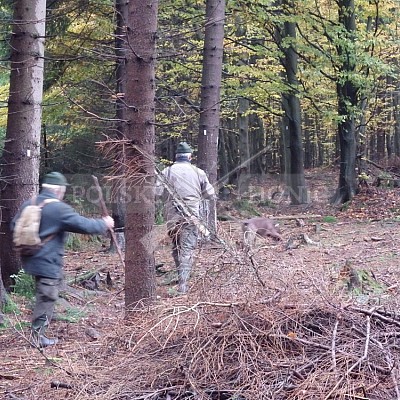 21 ročník celostátní soutěže barvářů pořádanou ČMKCHB - O PUTOVNÍ CENU - honitba Libavá, 19-22.10.2016