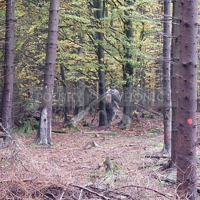 21 ročník celostátní soutěže barvářů pořádanou ČMKCHB - O PUTOVNÍ CENU - honitba Libavá, 19-22.10.2016