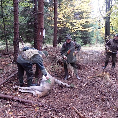 21 ročník celostátní soutěže barvářů pořádanou ČMKCHB - O PUTOVNÍ CENU - honitba Libavá, 19-22.10.2016