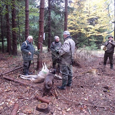 21 ročník celostátní soutěže barvářů pořádanou ČMKCHB - O PUTOVNÍ CENU - honitba Libavá, 19-22.10.2016