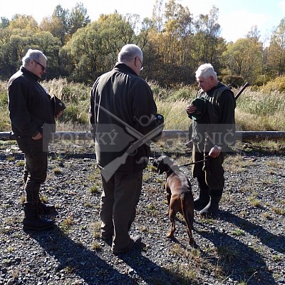 21 ročník celostátní soutěže barvářů pořádanou ČMKCHB - O PUTOVNÍ CENU - honitba Libavá, 19-22.10.2016