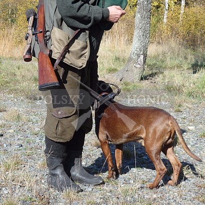 21 ročník celostátní soutěže barvářů pořádanou ČMKCHB - O PUTOVNÍ CENU - honitba Libavá, 19-22.10.2016