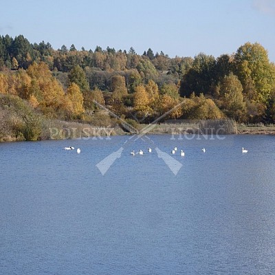 21 ročník celostátní soutěže barvářů pořádanou ČMKCHB - O PUTOVNÍ CENU - honitba Libavá, 19-22.10.2016