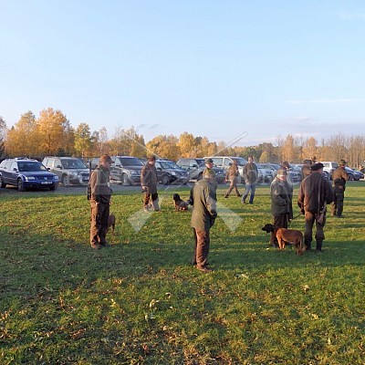 21 ročník celostátní soutěže barvářů pořádanou ČMKCHB - O PUTOVNÍ CENU - honitba Libavá, 19-22.10.2016