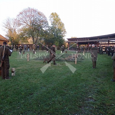 21 ročník celostátní soutěže barvářů pořádanou ČMKCHB - O PUTOVNÍ CENU - honitba Libavá, 19-22.10.2016